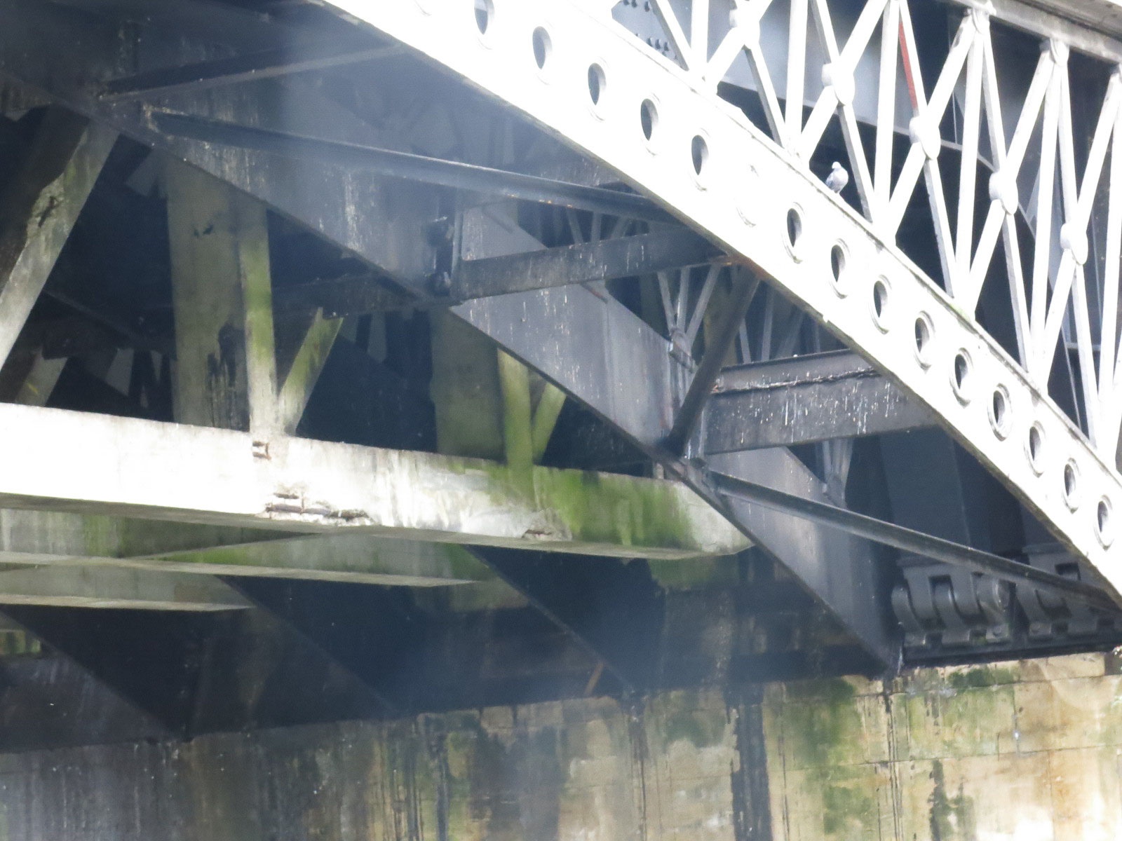 Cleveland Bridge Bath - 3